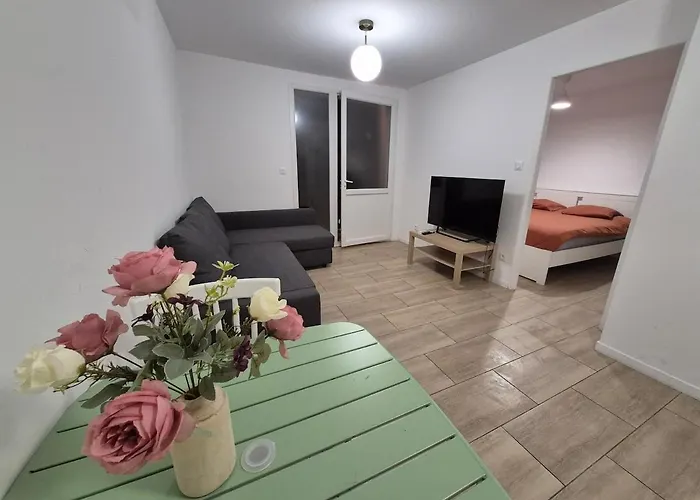 T2 Jean Rieux - Proche Cite De L'espace Apartmán *